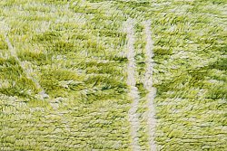 Tapis Kilim Marocain Berbère Azilal 250 x 160 cm