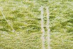 Tapis Kilim marocain Azilal 250 x 160 cm