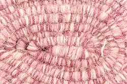 Tapis de laine - Wellington (rose)