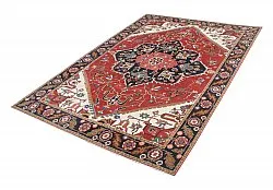 Tapis Oriental - Hariz Hand Knotted - 241 x 313 cm
