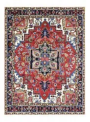 Tapis Oriental - Hariz Hand Knotted - 309 x 432 cm