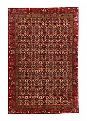Tapis oriental Hamedan 287 x 186 cm