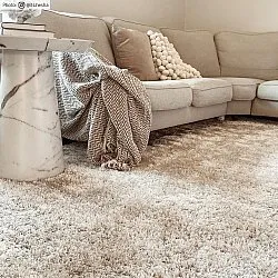 Tapis à poils longs - Cosy (beige)