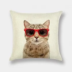 Housse de coussin 50 x 50 cm