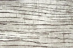 Tapis Wilton - Uzla (gris)