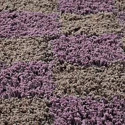 Tapis rond - Elsey Natural Cotton Shaggy (marron/violet)