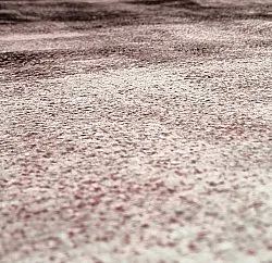 Tapis Wilton - Olmedo (gris/rose)