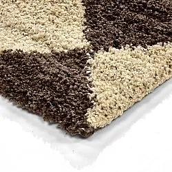 Tapis à poils longs - Albi (marron/beige)