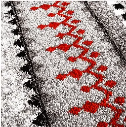 Tapis Wilton - Elduvik (rouge)