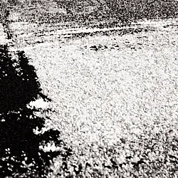 Tapis Wilton - Nesvik (gris)