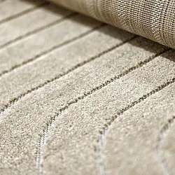 Shaggy intérieur/extérieur - Hazleton (beige)