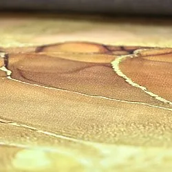 Tapis Wilton - Etienne (beige/doré)