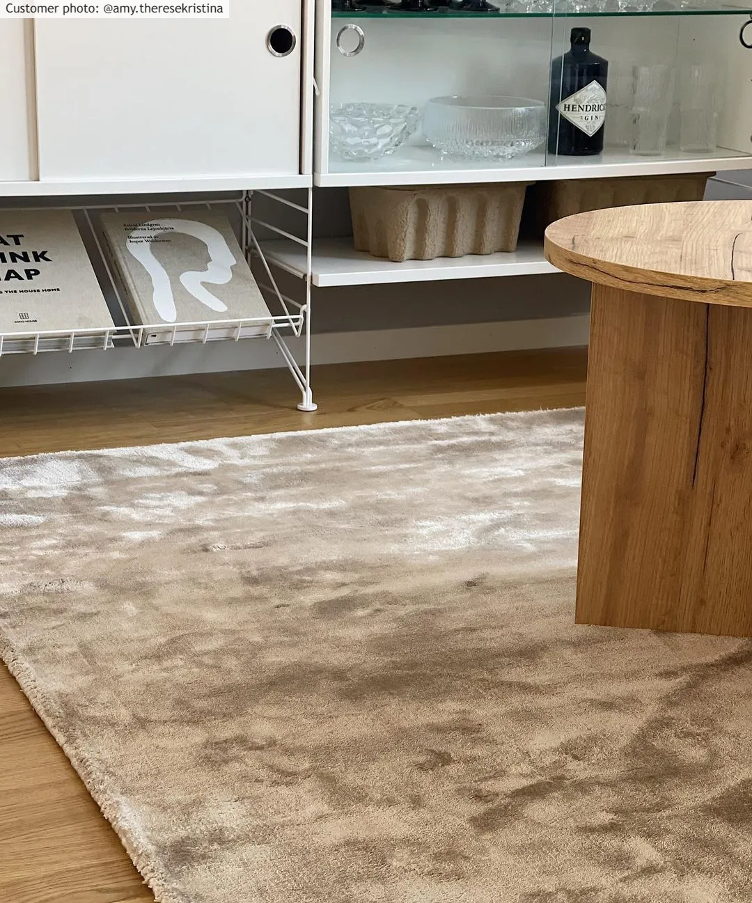 Tapis en viscose - Jodhpur Special Luxury Edition (gris clair/beige)