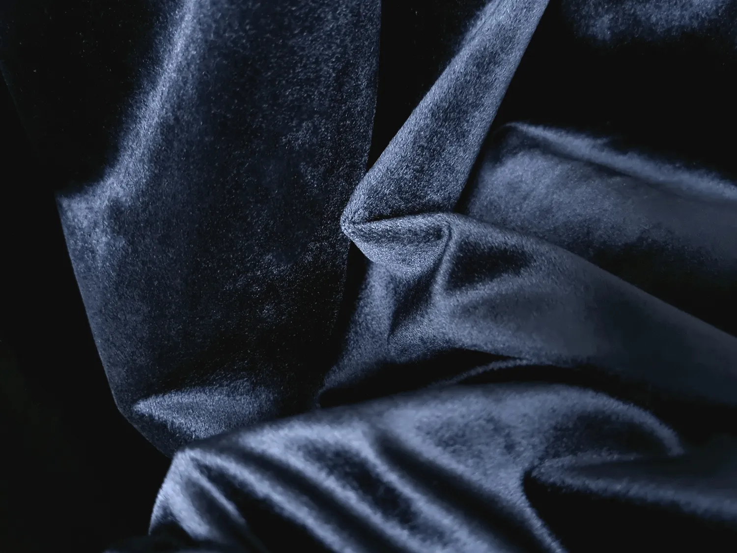 Rideaux - Rideau en velours Marlyn (bleu marine)
