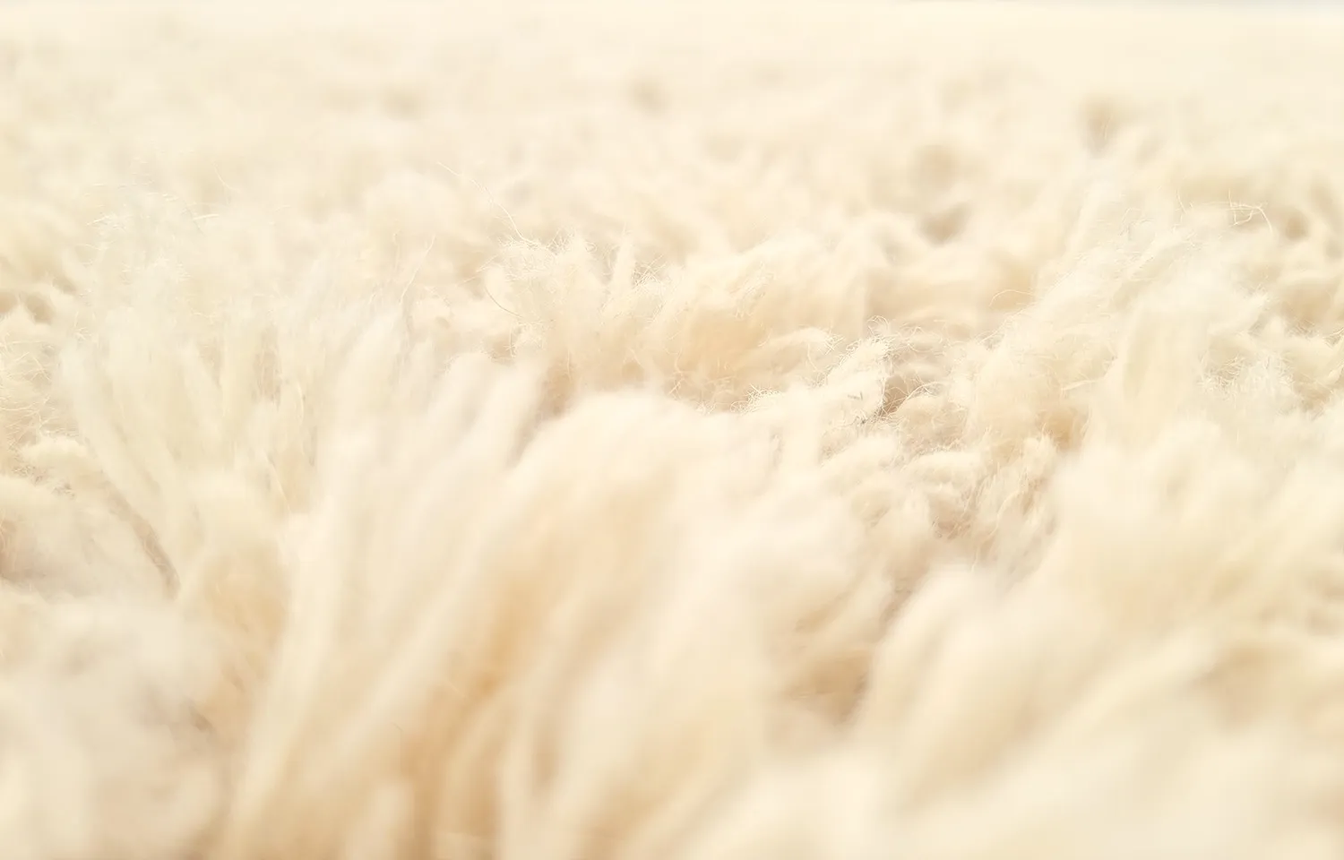 Tapis en laine - Aliste Wool Shaggy (alabaster gleam)