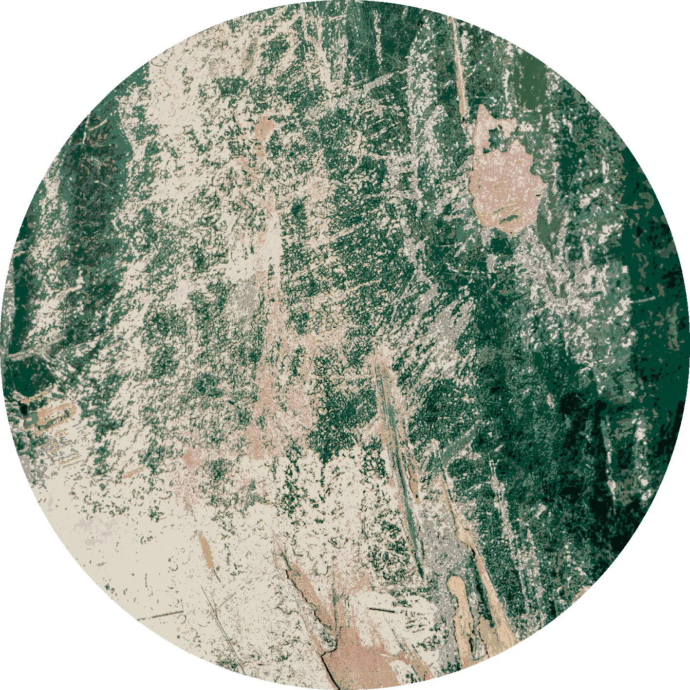Tapis rond - Tamalous (beige/vert)