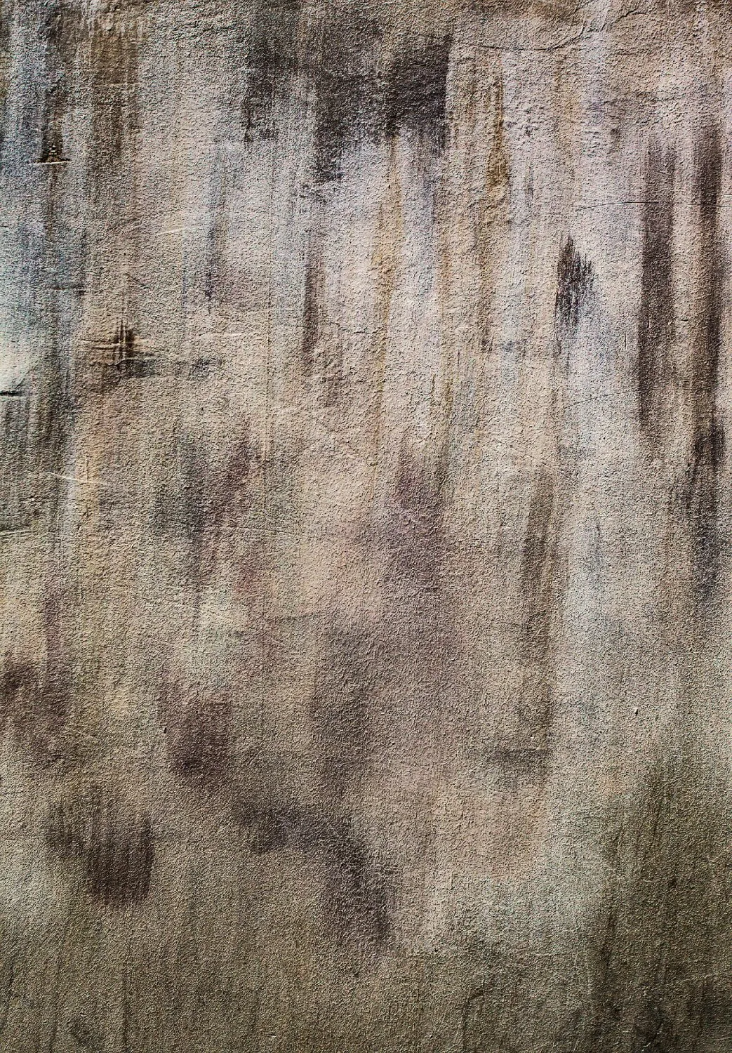 Tapis Wilton - Polia (gris/marron)