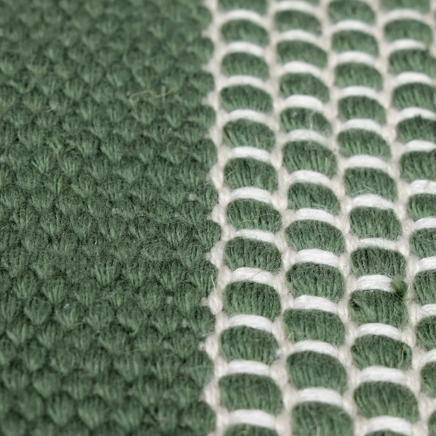 Tapis Intérieurs/Extérieurs - Coastal Wool Look (vert/blanc)