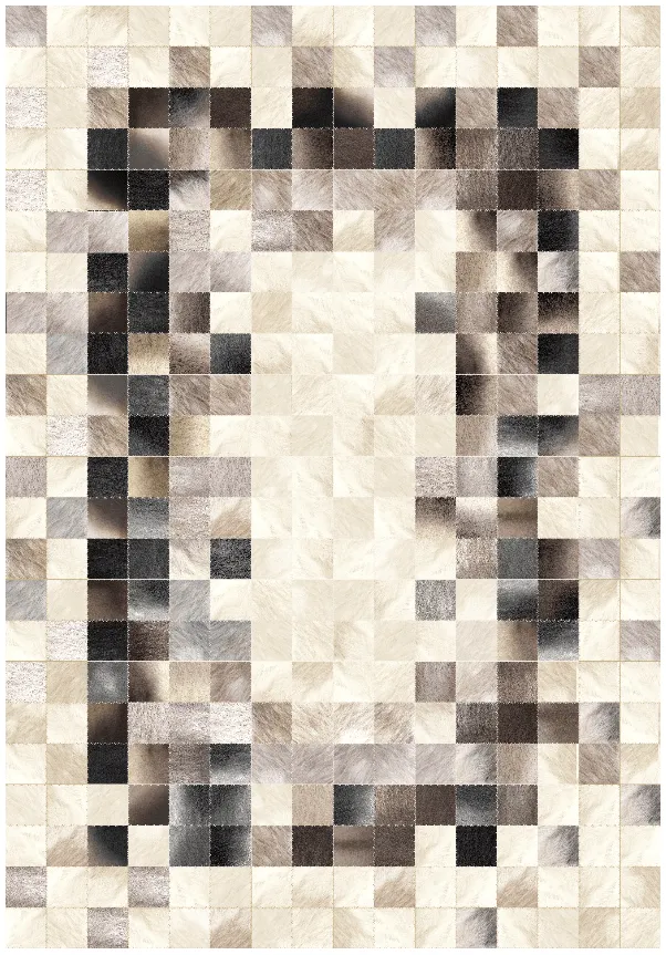 Tapis Wilton - Livada (blanc/multicolore)