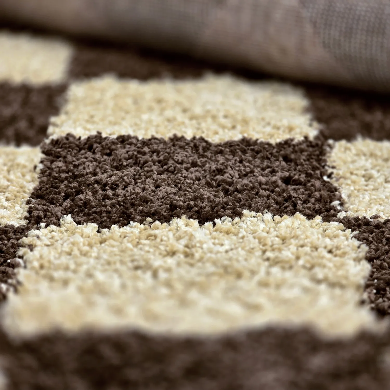 Tapis à poils longs - Albi (marron/beige)