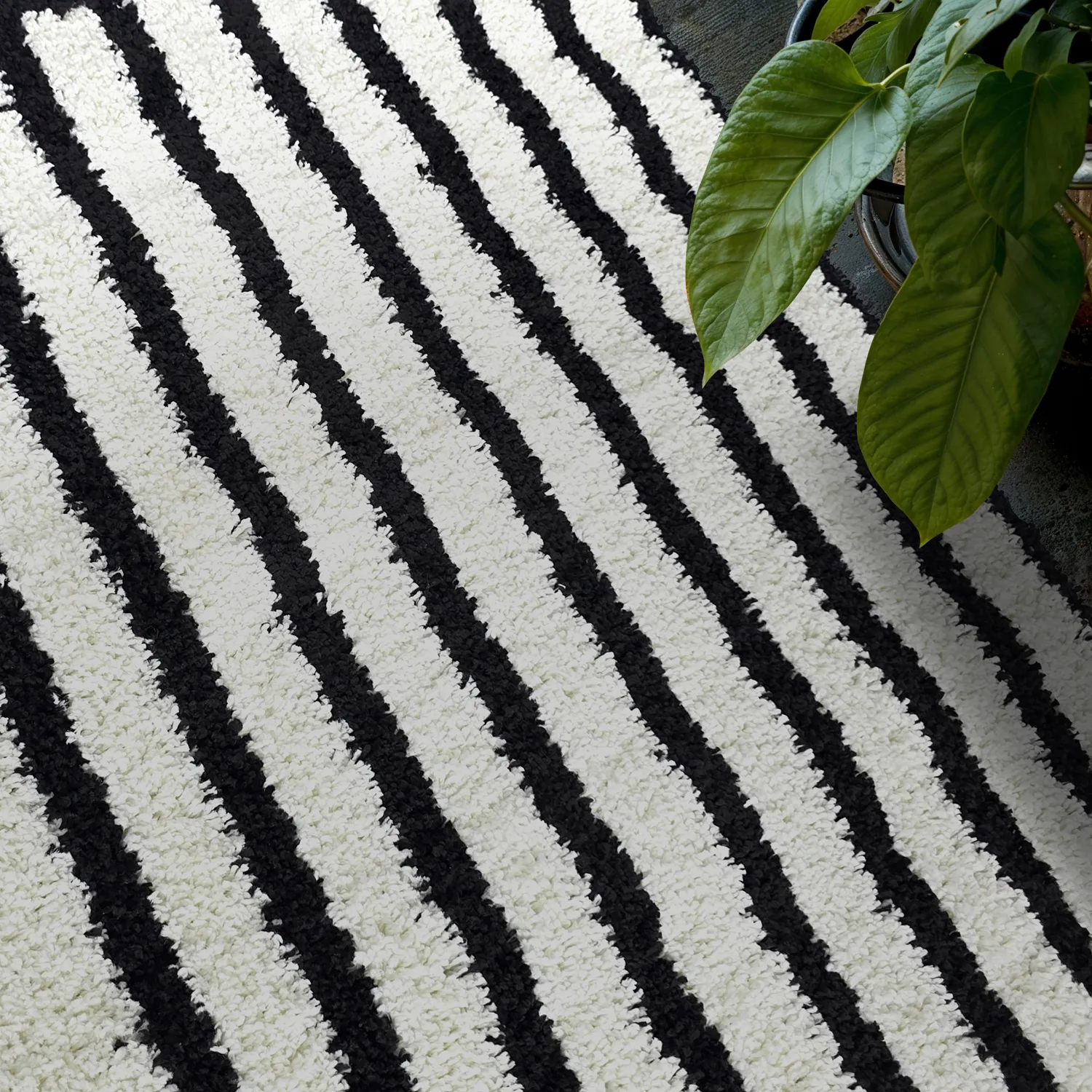 Tapis à poils longs - Cluny (blanc/noir)