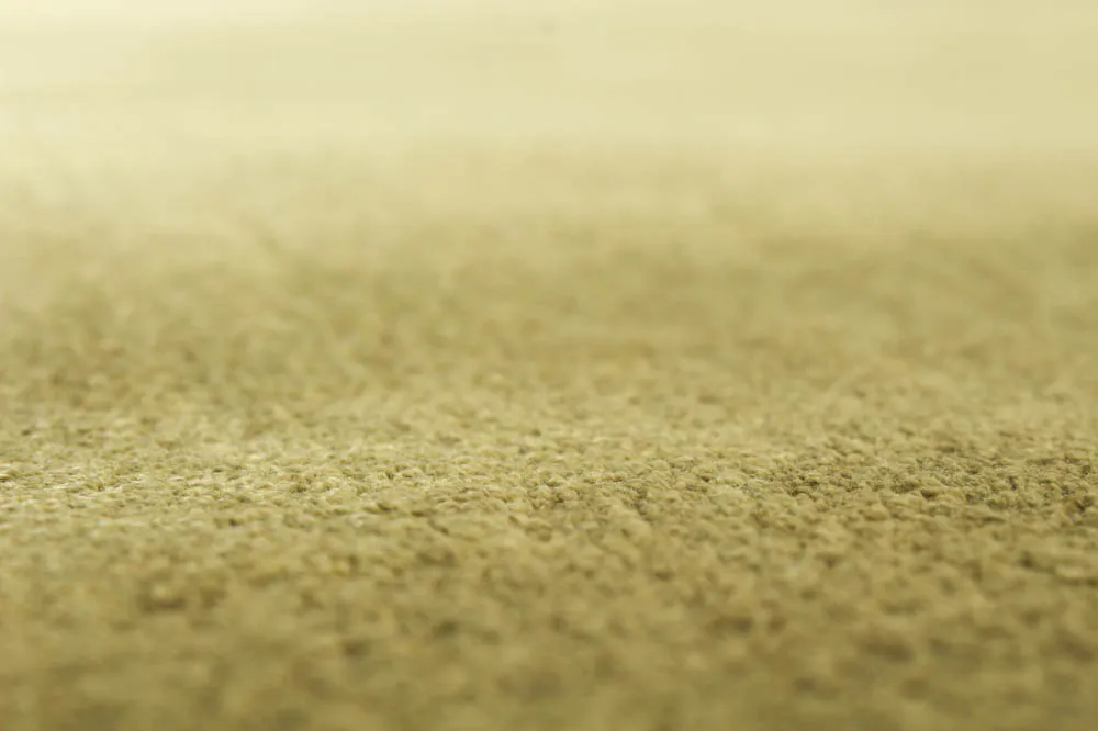 Tapis en viscose - Jodhpur Special Luxury Edition (vert)