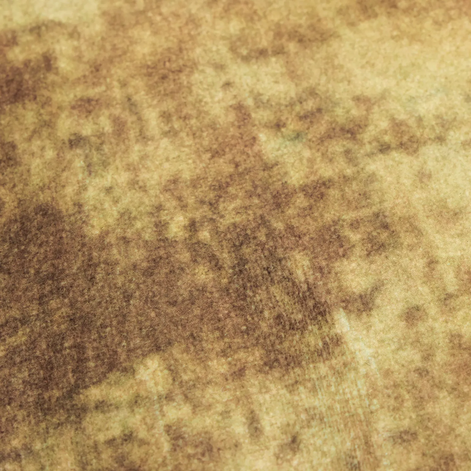 Tapis Wilton - Lazio (beige/rose)