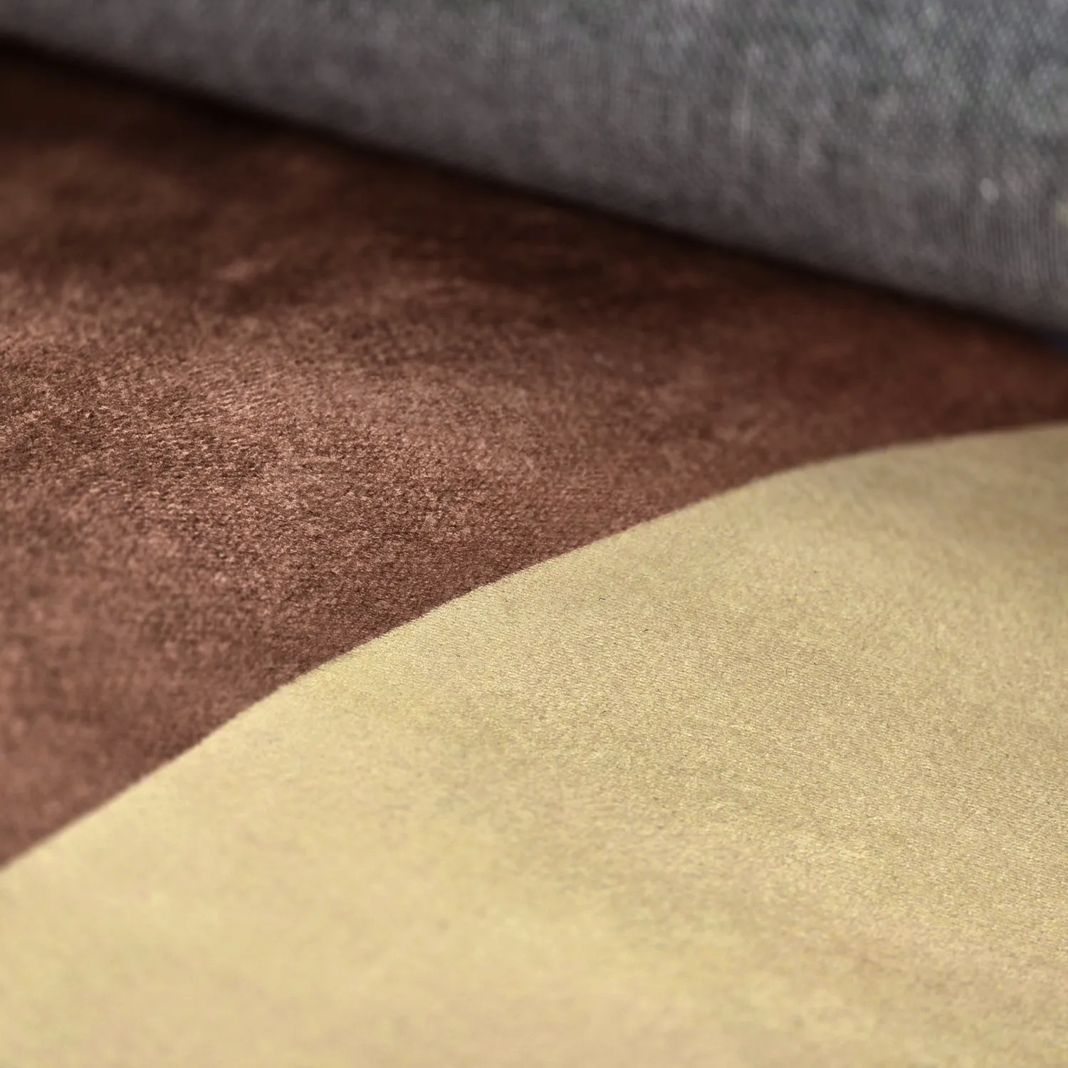 Tapis Wilton - Lazio (champagne)