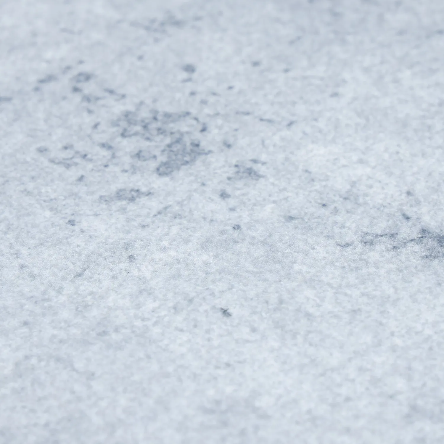 Tapis Wilton - Lynton (gris clair)