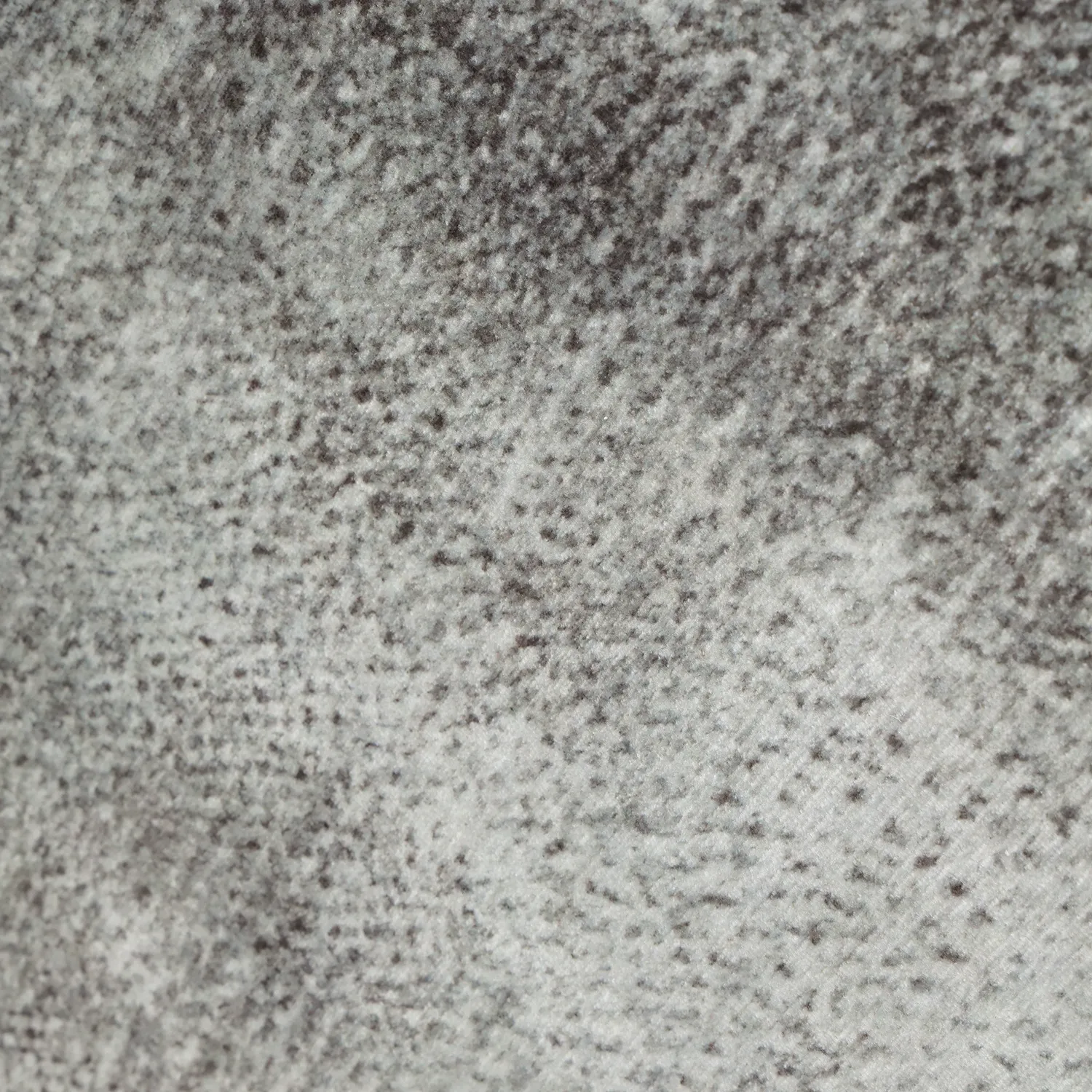 Tapis Wilton - Olmedo (gris/beige)